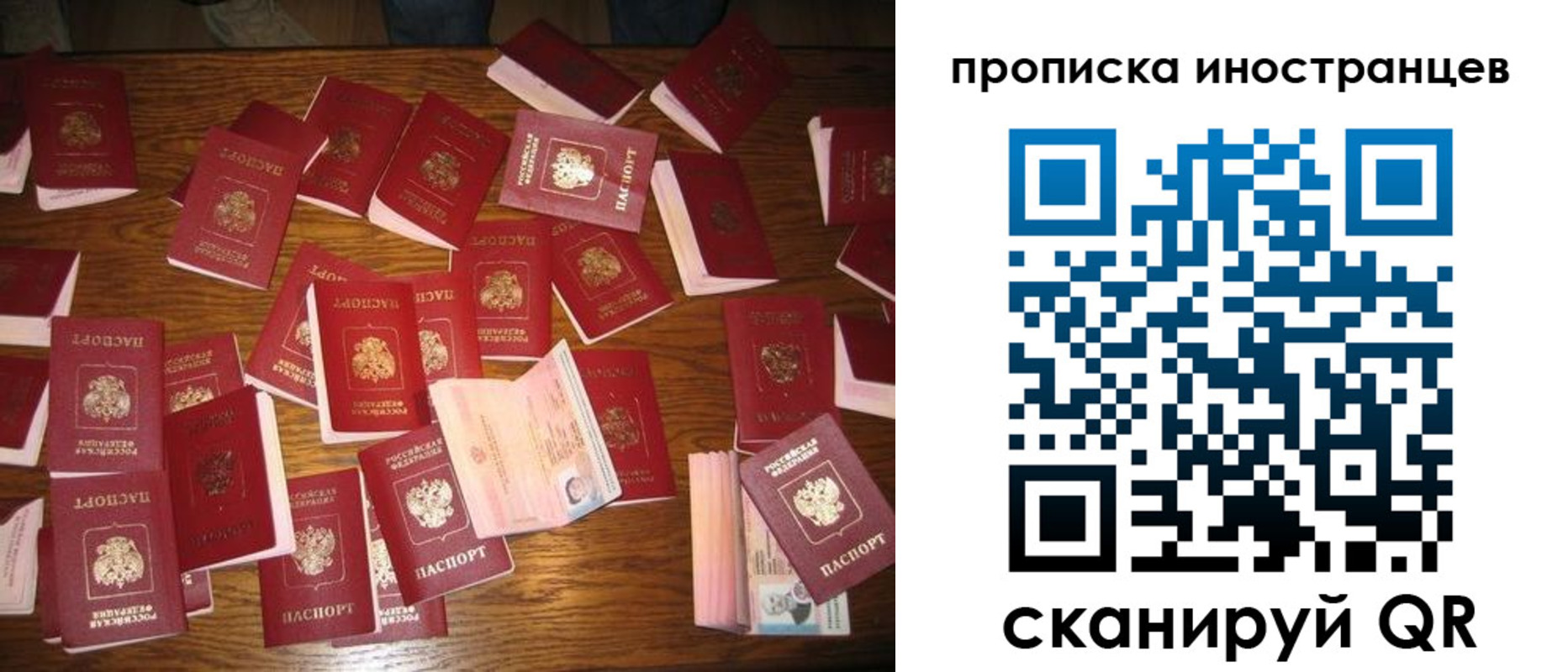 найти адрес прописки в Всеволожске